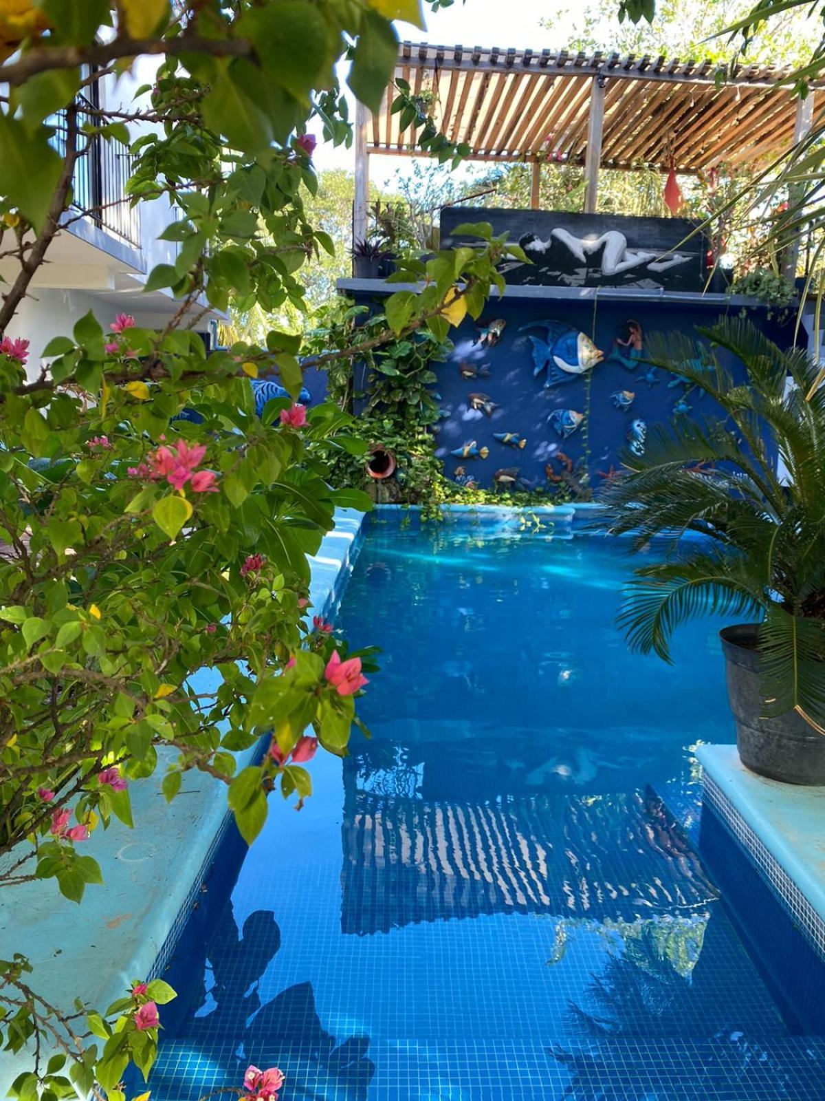Casa Chukum Hotel Bacalar Exterior photo Butterfly House